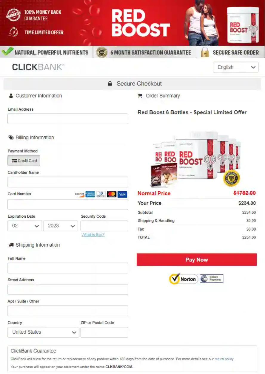 Secure checkout page with protected payment processing for online order